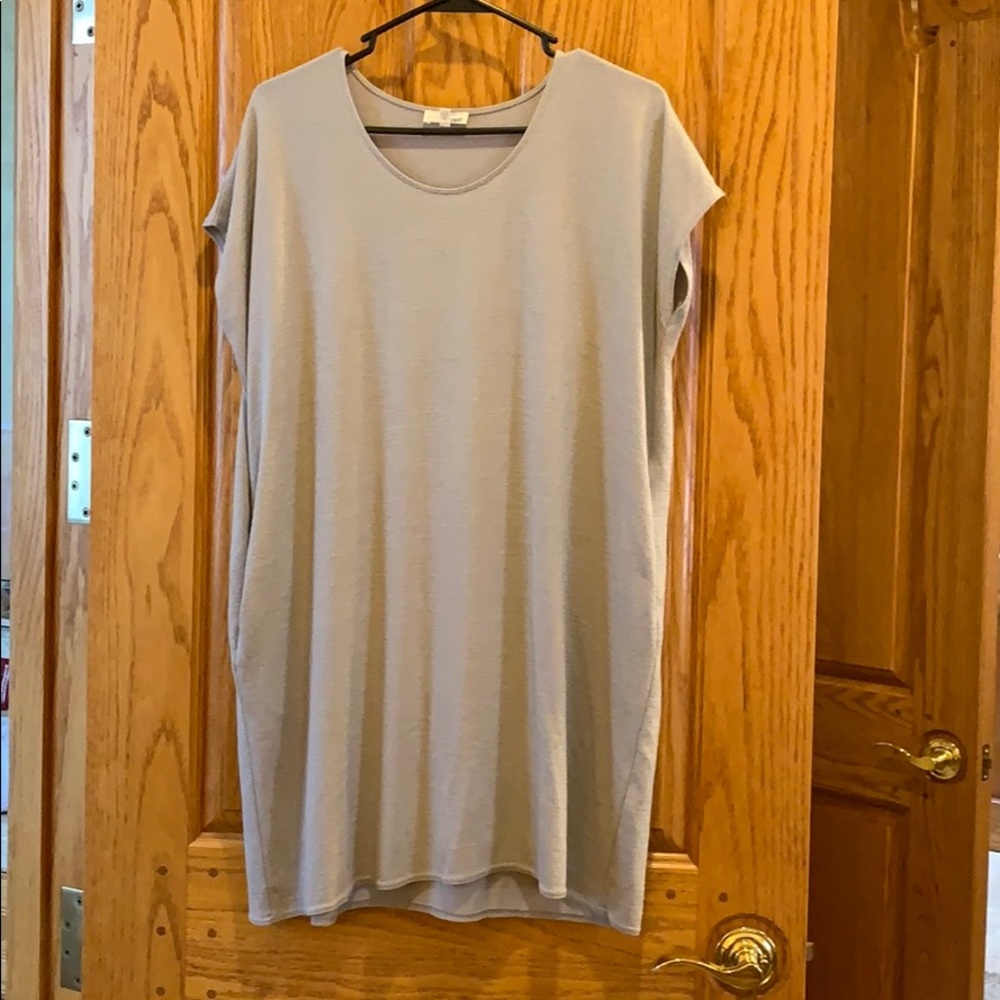 Wilfred Free/ Aritzia Day Dress with pockets